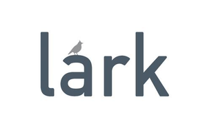 Lark Logo
